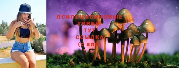 сатива Алзамай