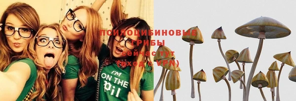 сатива Алзамай