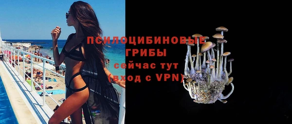 сатива Алзамай