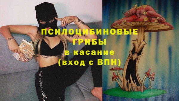 сатива Алзамай