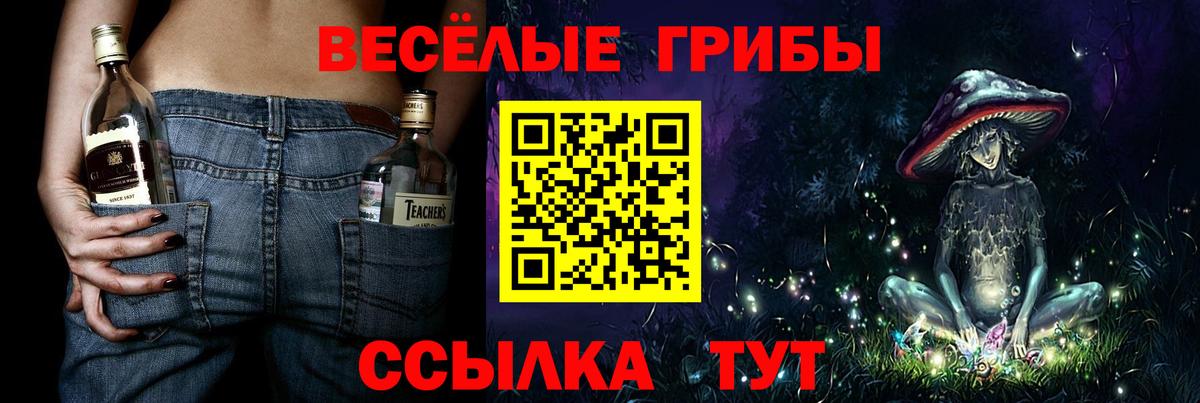 Псилоцибиновые грибы Psilocybine cubensis  Вход с VPN  Канаш 